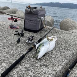 念願の初ハマチ！！！