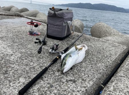 念願の初ハマチ！！！