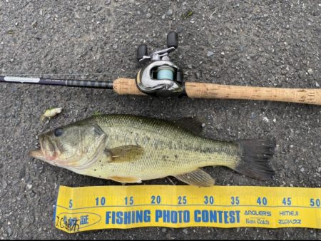 シャロークランクの超遅巻きで40UP!!