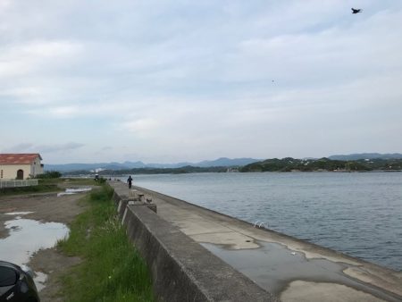 サビキに大物！