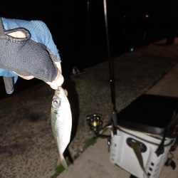 4ヶ月ぶりの釣行