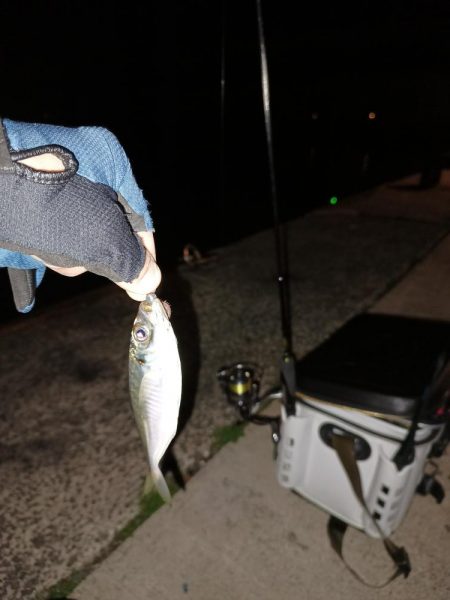 4ヶ月ぶりの釣行