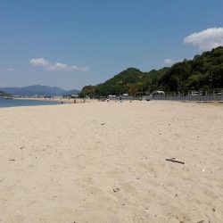 ファミリーフィッシング