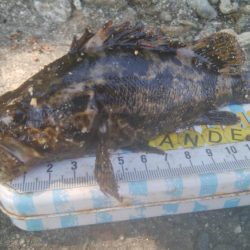 楽しい(^^)キビレ