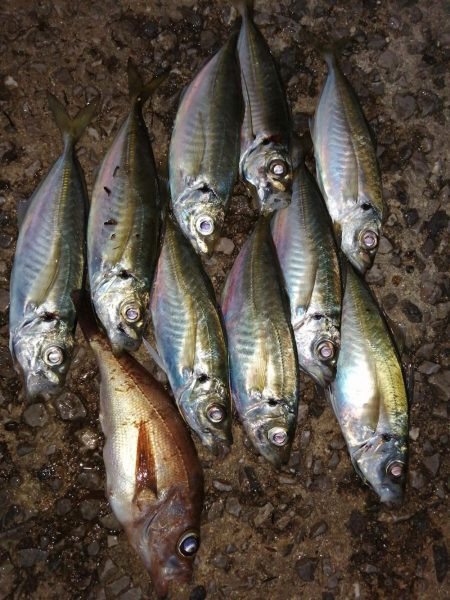 少し春めいて？