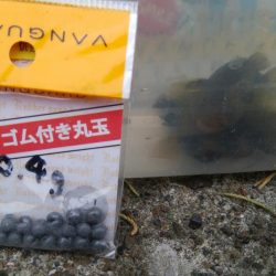 ハゼ釣り楽しいデス(^^)