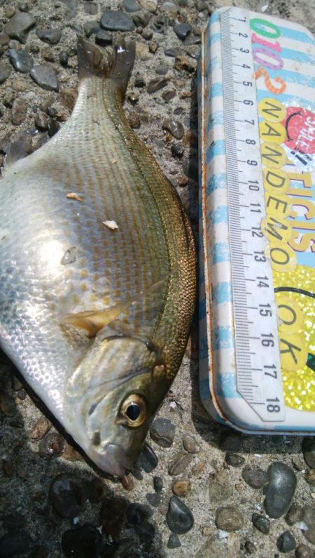 色々釣れて楽しかったデス(^^)