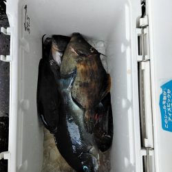 フカセ‥最高ですネ・・