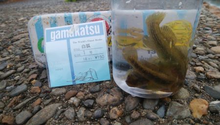 ♡ハゼ釣りは楽しいデス♡