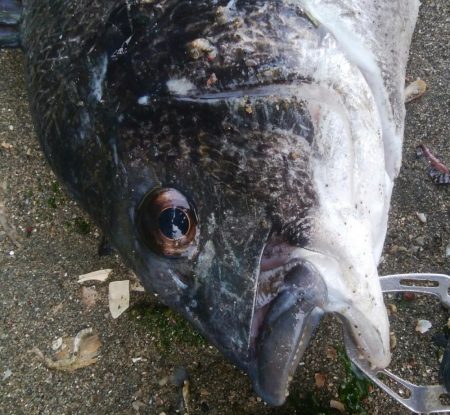 今日も釣り日和(^^)