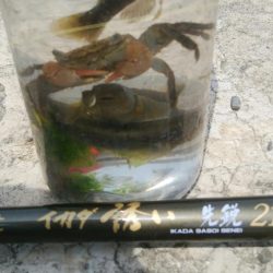 釣り日和(^^)大漁