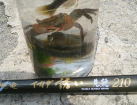 釣り日和(^^)大漁