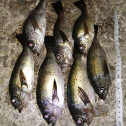 厳しい中でもなんとか