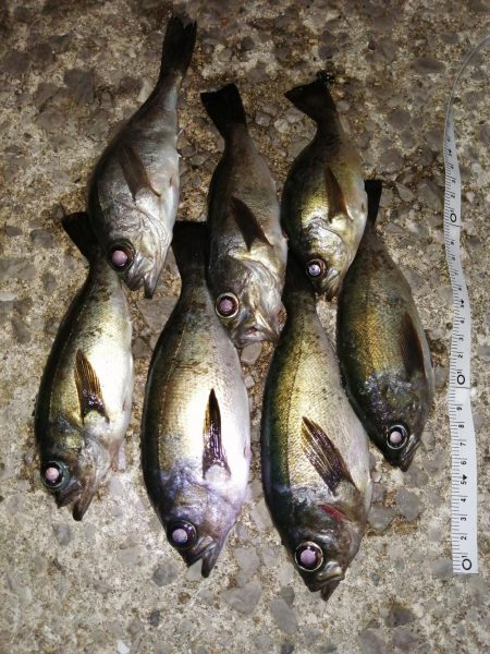 厳しい中でもなんとか