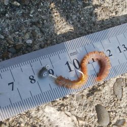 (^^)夏気分!海が気持ち良い(^^)