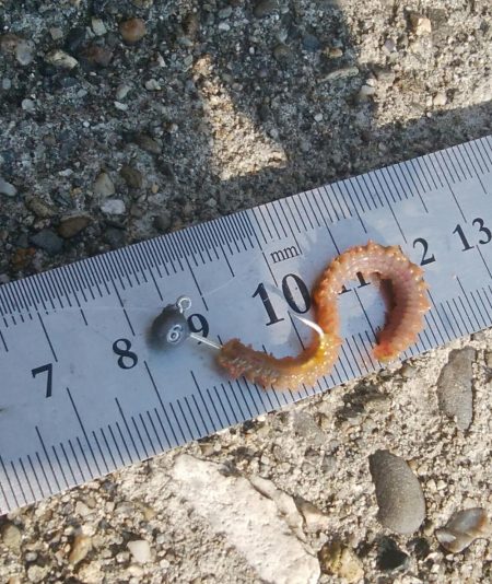 (^^)夏気分!海が気持ち良い(^^)