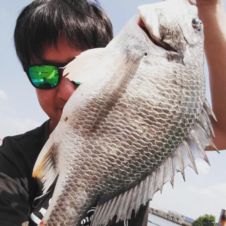 朝からかくれんぼ