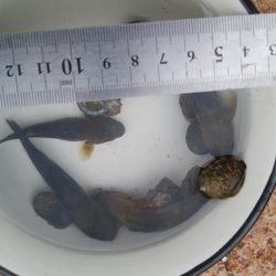 (^^)過ごしやすい釣り日和