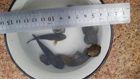 (^^)過ごしやすい釣り日和