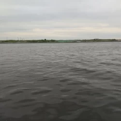 今シーズン初タコ!