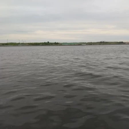 今シーズン初タコ!