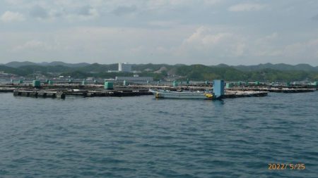 串本カセでグレを