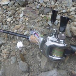 五月のバス釣り