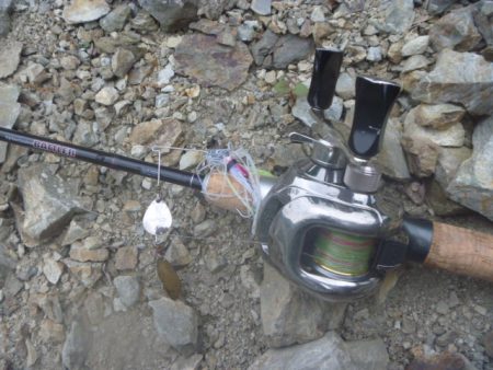 五月のバス釣り