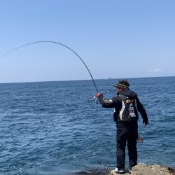 和歌山大引の磯でフカセ釣り