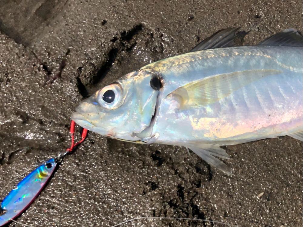 JPスローの当たり日