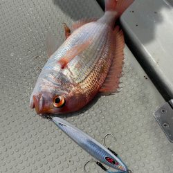 丹後沖ジギング