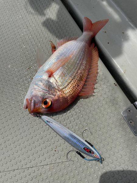 丹後沖ジギング