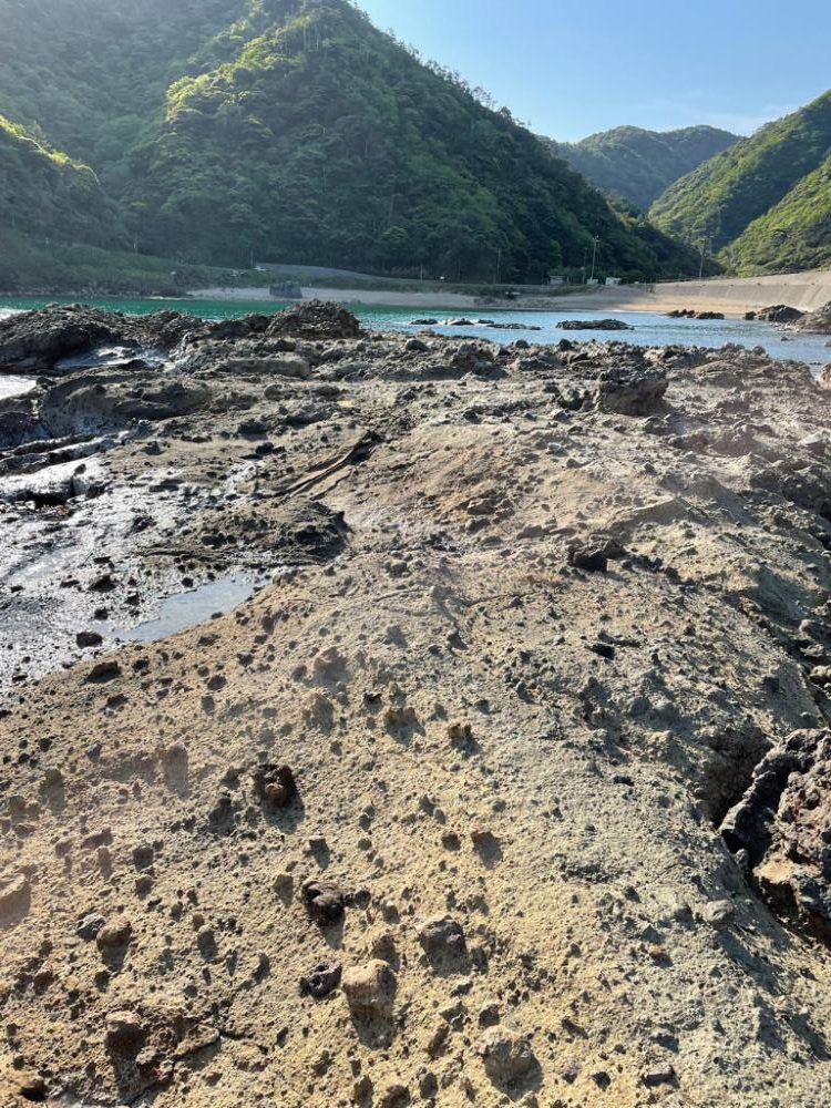 エギングの間にフラットフィッシュ