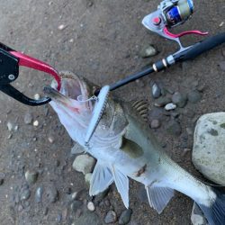 ハクパターン攻略