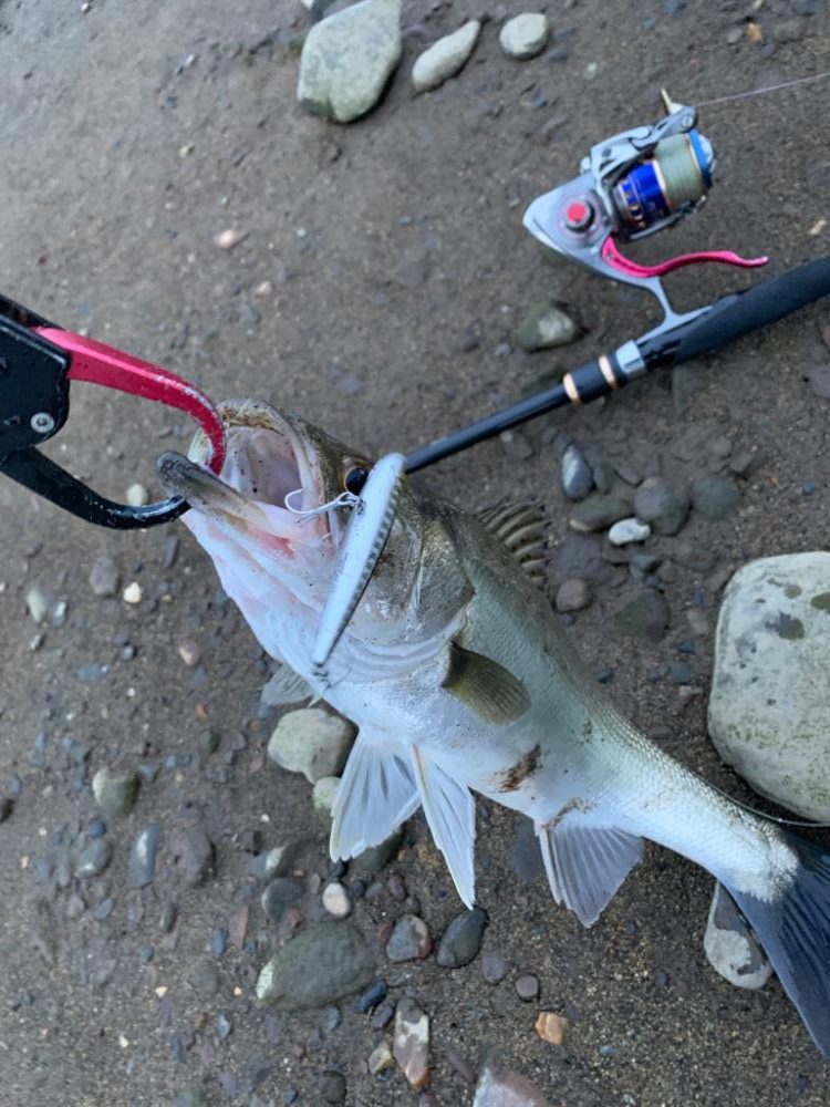 ハクパターン攻略