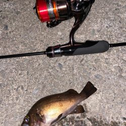 梅雨前メバリング