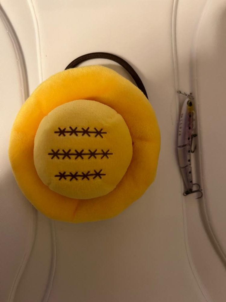 今年初のフィッシング〜！