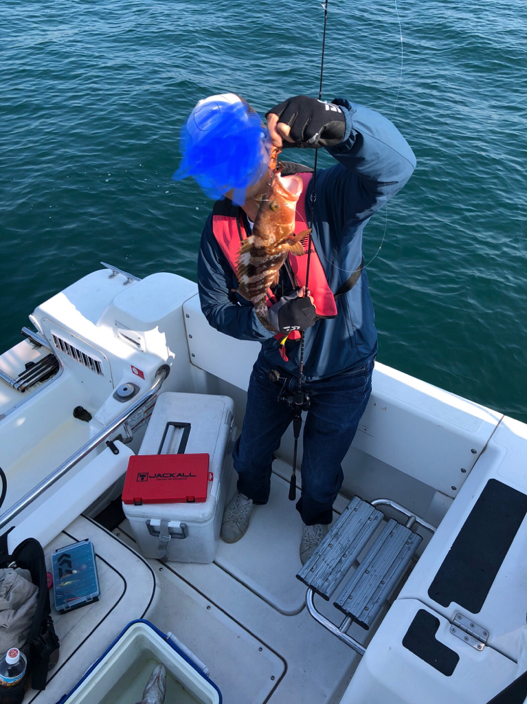 アコウとサバフグ