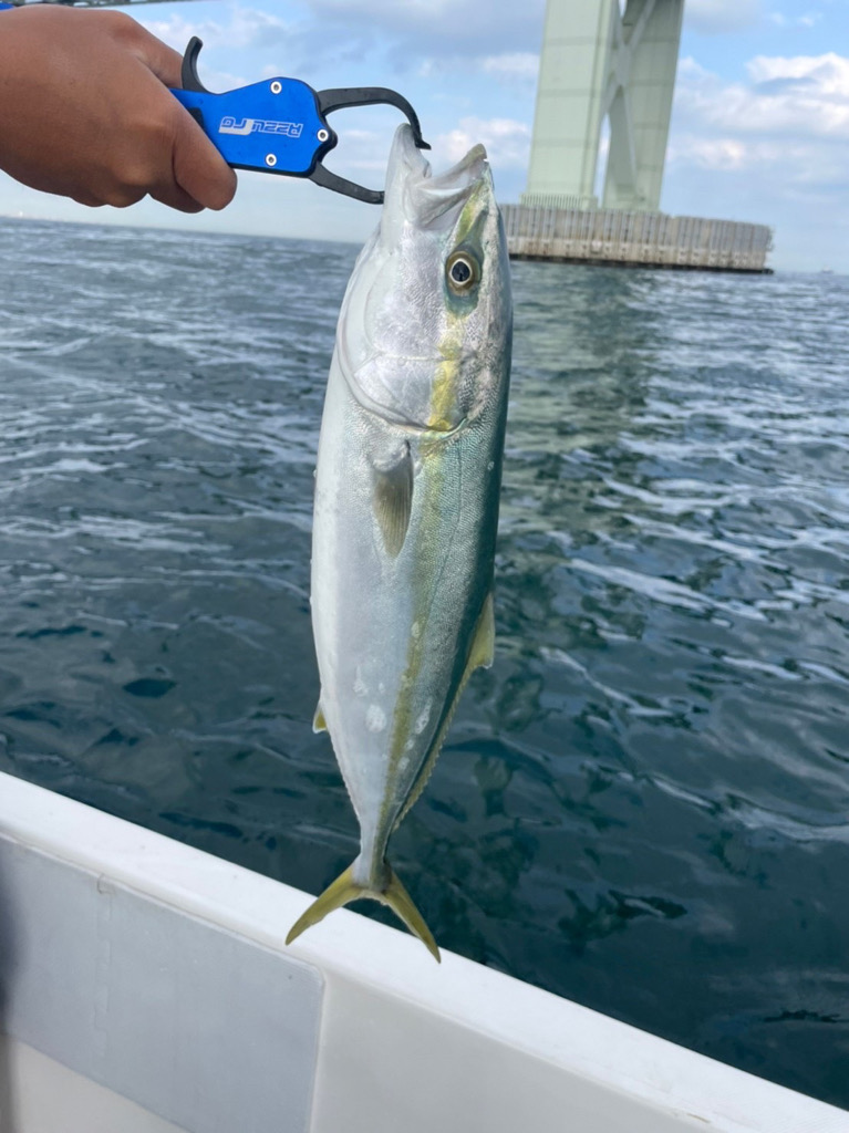 明石でタイラバ