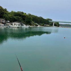 大村湾でのチヌ釣り