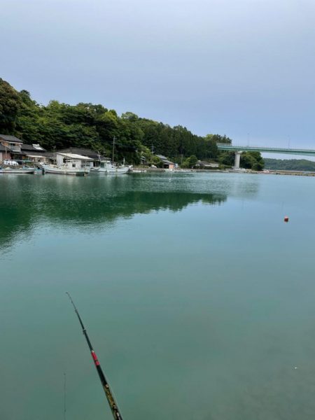 大村湾でのチヌ釣り
