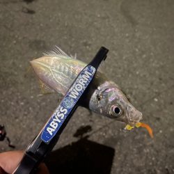 雨が降ったら終了