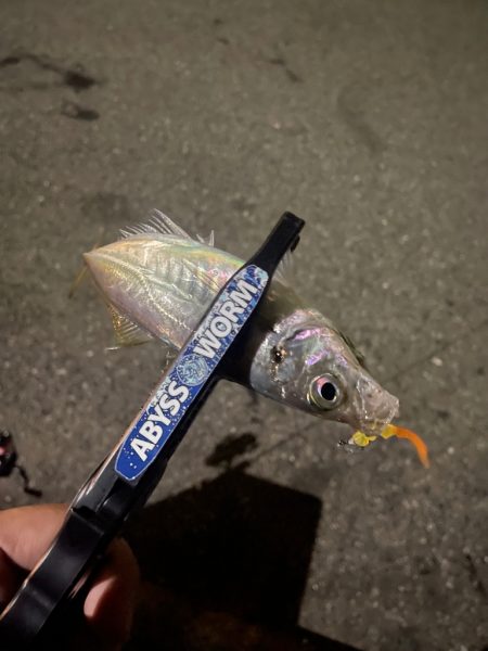 雨が降ったら終了