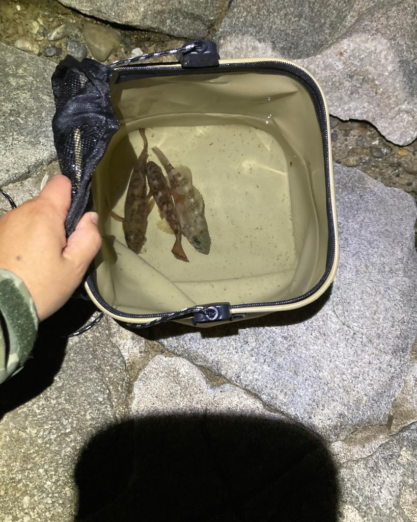 フロート難しい