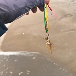 ショアジギング