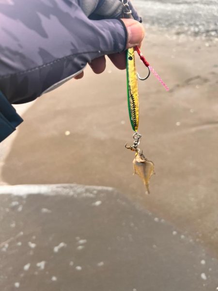 ショアジギング