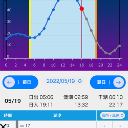 コウイカなら安定した釣果