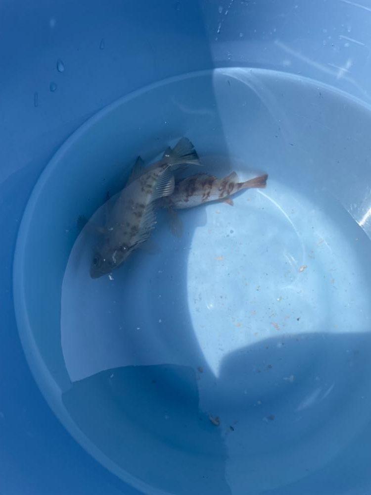 キスはまだ早かったかな？