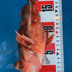 ダメダメ(＞＜)