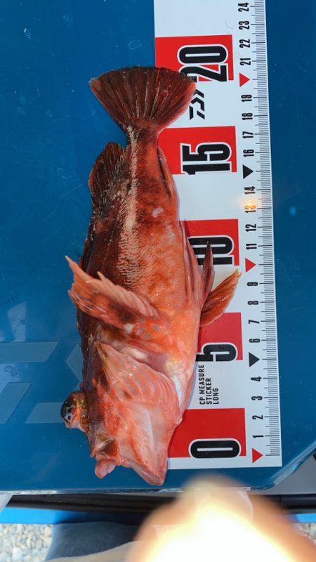 ダメダメ(＞＜)